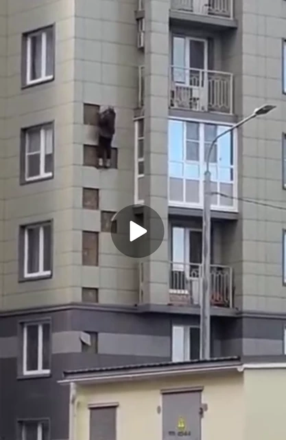 Screenshot_2025-11-03-16-27-58-259_org.telegram.messenger.web