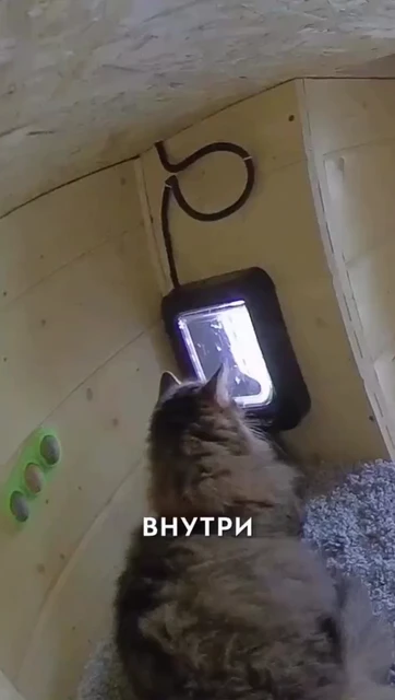 Screenshot_2025-12-21-08-09-50-250_org.telegram.messenger.web-edit