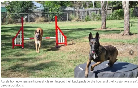 🤓А вот вам — идея для арендного бизнеса