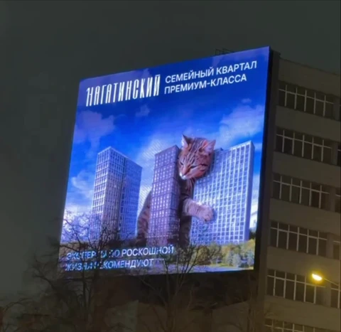 😂Страшно представить где лоток в 1-Нагатинском