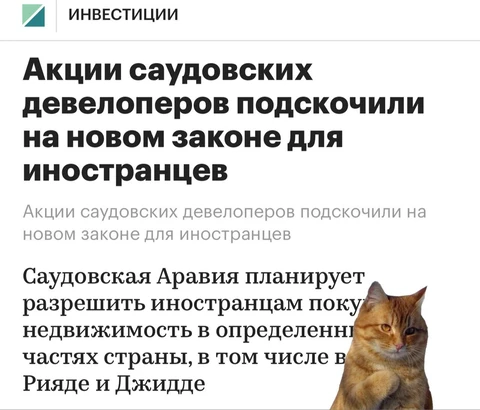 😂Алярм! Зреет новый пузырь. Высокая доходность, исключительная инвестиционная привлекательность!