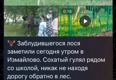 😂Почему мы никогда не ходим на презентации и пресс-мероприятия с бесплатной едой для журналистов?