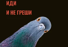 🤓А вот это — совсем хорошо. Не зря мы весь фестивальный трэш перелистиали…