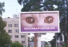 😂— Скажите, а маркетологи в вас когда-нибудь работают?  — Нет, они все время делают кейсы