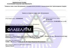🤓1:0! ФСК Регион зарегистрировал слово, которое мы не знали. И никто не знал. Пришлось сходить в словарь