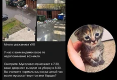 🤔Кажется ученые-социологи должны пристально изучить феномен сообщества жителей ЖК Вереск