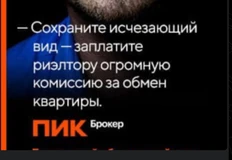 Screenshot_2025-10-31-12-15-30-896_org.telegram.messenger.web