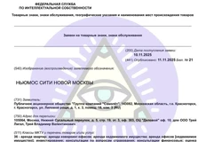 🤔Самолёт регистрирует загадочное «Ньюмос Сити Новой Москвы»