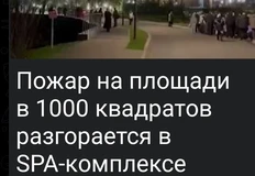 Screenshot_2025-11-14-17-55-57-575_org.telegram.messenger.web-edit