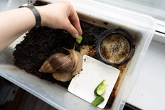 IMG_20251211_151809_061