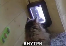 Screenshot_2025-12-21-08-09-50-250_org.telegram.messenger.web-edit