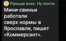 Screenshot_2026-02-20-12-52-55-957_org.telegram.messenger.web-edit