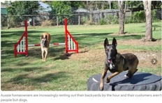 🤓А вот вам — идея для арендного бизнеса