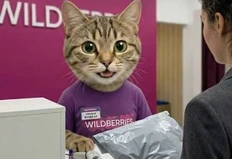 🤓Купил ты такой торговое помещение на первом этаже в новостройке, на волне всеобщего энтузиазма