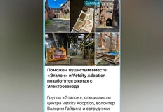 🤓Пиарщики застройщиков четко усвоили на кейсах РЖД и Додо Пиццы: население больше симпатизирует животным, чем памятникам архитектуры