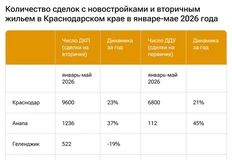 🤓Смотрите как упало число сделок с жильем в Сочи в этом году
