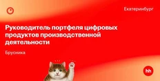 🤓В вакансии Брусники «руководитель цифровых продуктов» нет ни слова про ИИ