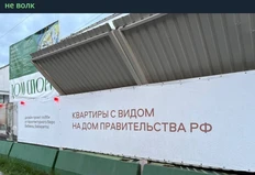 Снимок экрана 2026-07-24 075652