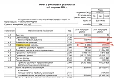 🤔В отчете ПИКа за полугодие мы не видим никаких выделенных строк, которые прямо или косвенно могут указывать на объем затрат на рекламу, маркетинг или обеспечение продаж