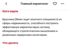 🤔Брусника ищет «главного маркетолога» чей объем ответственности очень напоминает функционал маркетинг-директора
