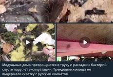 Снимок экрана 2026-09-15 131424
