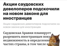 😂Алярм! Зреет новый пузырь. Высокая доходность, исключительная инвестиционная привлекательность!