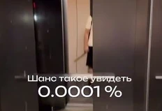😂Садовые кварталы. Пруд, который создал Смайнекс. 1