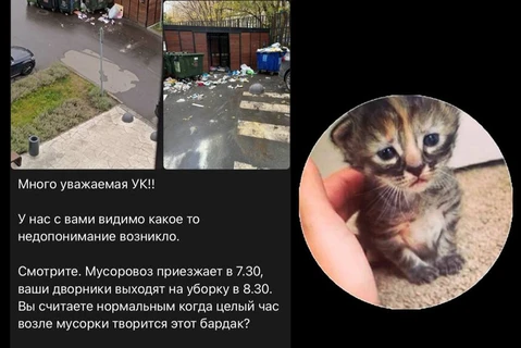 🤔Кажется ученые-социологи должны пристально изучить феномен сообщества жителей ЖК Вереск