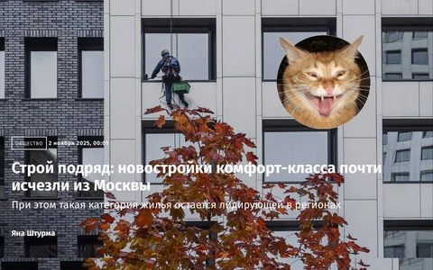 IMG_20251104_120236_752