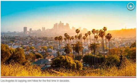 IMG_20260106_074122_275