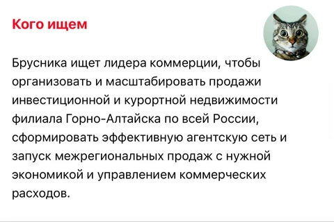 🤔Брусника, между тем, хочет построить курортный филиал Горно-Алтайска (чта?) по всей России