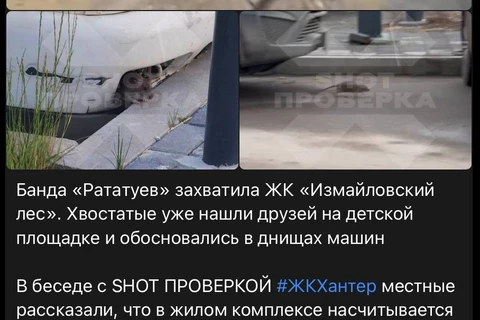 🤓«Рататуями» называют крыс новостные издания, пишущие о проблемах жильцов ЖК «Измайловский лес» от ПИКа