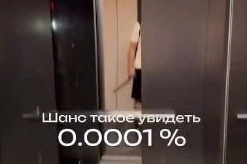 😂Садовые кварталы. Пруд, который создал Смайнекс. 1